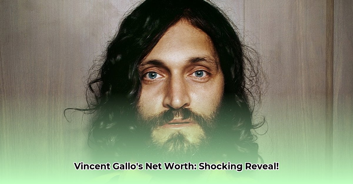 vincent-gallo-net-worth